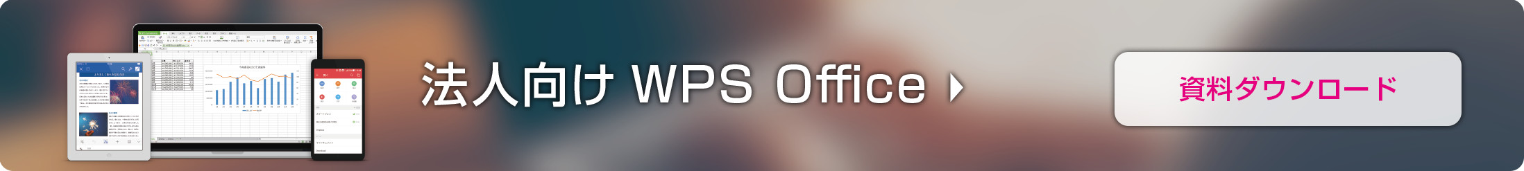 法人向けWPSOffice資料ライブラリー