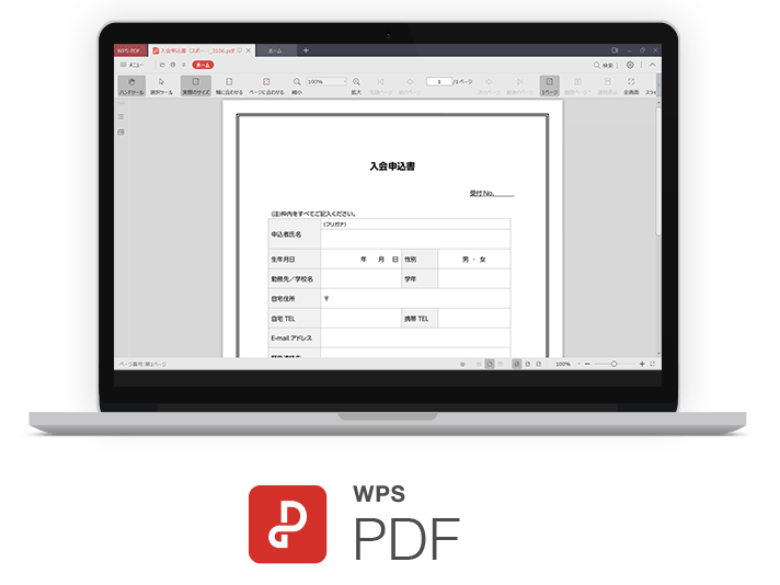 pdf2x WPS PDF